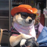 释怀的尽头是“钏”