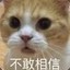天胡哥