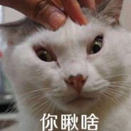 恐婚的埃斯乔尼亚