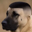 G Dog