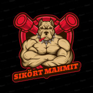 Arap-Sikört Mahmıt