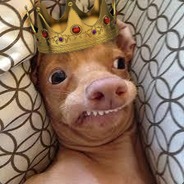 Royal Dog