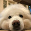 alan