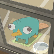 PLATYPUS