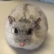 MakoTheFish