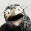 the guy with the funny bird