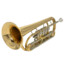 Trumpet6497