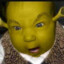 Shrekinho