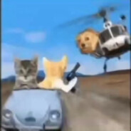 喵喵喵主人是我啊