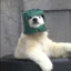 BearsAreGood