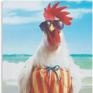 Mahoe - steam id 76561198314732235