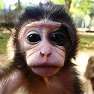 L1on - steam id 76561199682054903