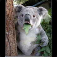 Бабкин Внук