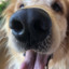 julinha_siqueira