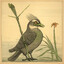 farfetch'd enjoyer