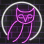 Neon Owl