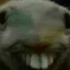 EM