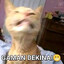 gaman dekinai