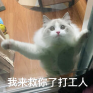 猪突猛进