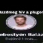 FALKATAG VAGYOK