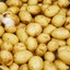 hate-filled potato farmer