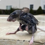 ௵﷽﷽﷽﷽﷽﷽