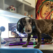 ꪶꪮꪖᦔ꠸ꪀᧁ