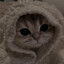 IzUmR_