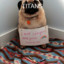 Furriestransedmygender