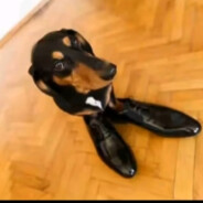 ТИМОФЕЙ ЧИКИБРЯК