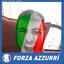 FORZA AZZURRI