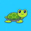 Kinky Turtle