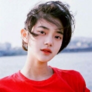 米猫妻子重新武装