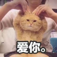 鸿吉食大便