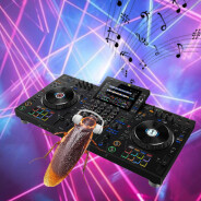DJ Roach