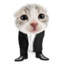 zoomiks's avatar