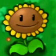 向日葵的花语言