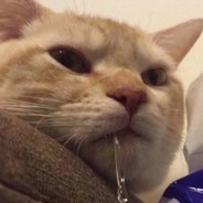 徒步阿龙（为爱远行）