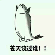 天降的咸鱼