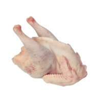 ChickenS avatar