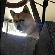 精灵副将马国成