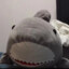 little shark