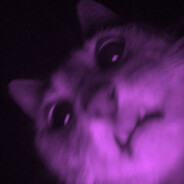 St1n0x - steam id 76561199085603534