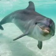 Goggler [ smurf ] <brazzers.com>