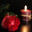 Sweet Rose