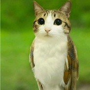 上船喊饿下船喊冷 200+-