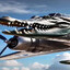 crocodilo bombardiro
