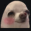 NIMADER