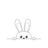 rabbit