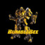 Bumblebee Multi-Head.pl